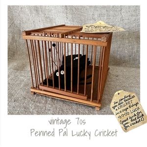 vintage 70s Lucky Cricket Penned Pal American Greetings